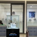 지에스25주안대로점 | 강남 지에스안과 스마일프로 내돈내산 1, 2일차 후기 (고도근시, 고도난시, 안구건조증)