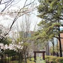 스파캐슬 이미지