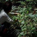 온새미로펜션 이미지