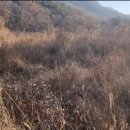 덕천리 티스토리