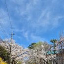 제53회 경상북도공예품대전 | 대구 두류공원 한바퀴!산책하면서 느낀 대구의 봄