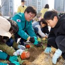 산울초등학교 이미지