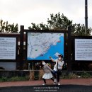 제주 장미여관 이미지