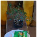 비치스파랜드 이미지