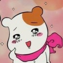 24시청주i동물병원 이미지