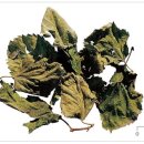 넘버원허브 이미지