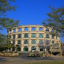 콜로세움 이미지