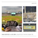 316 | 잠실야구장 외야 식세기존 멀리서 본 후기, 1루 네이비석 316블록 7열 시야 좌석