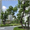 이편한중흥공인중개사사무소 이미지