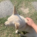 서종 힐링캠핑장 이미지