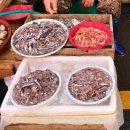 마산수산 | 마산 가고파수산시장 4월 16일 방문후기