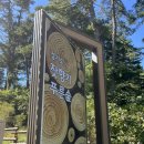 잣향기푸른숲 유아숲체험원 이미지