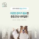 호계동물병원 이미지