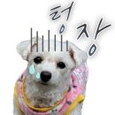 지에스GS25 역삼혜성점 이미지