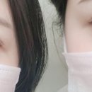 송히랑