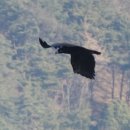 북면생태공원(다목적광장) 이미지