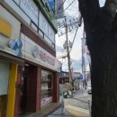 백장미제과