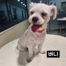 미소 - 부평구 배곶북로 10-1 | 미소
