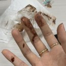 쥬쥬살롱 | 전민동 그린플레임커피 두쫀볼 / 신성곰탕 / 토시살롱 / 울랄라 파자마 피치기모 후기 / 면식당 충남대점