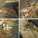 간석3동-37 이미지