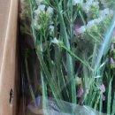 도레미피아노음악교습소 이미지