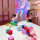 유림기획스포츠