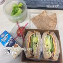 [다시어터의 삶] 241210 D-21 지루하고 무료한 일상