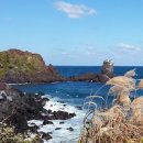 유민미술관 이미지