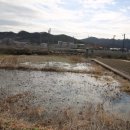 서구농장 이미지