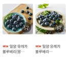 마켓올리 이미지