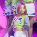 보나 이미지