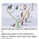 박진영이 진화론 안믿는 이유 이미지