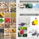 [체험후기] 김소형 본초순백 비단쌀 안색 선크림
