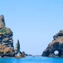 새벽(주) 이미지