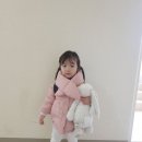 알퐁소 이미지