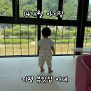 브리드커피 - 유성구 동서대로 125 | 가평 맛집 & 카페 추천｜명지반점, 브리드 솔직후기 (14개월 아기랑)