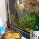 센스모텔 이미지