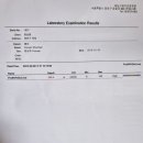 서울동물심장병원 이미지