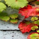 대서행정사 이미지