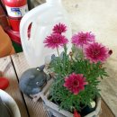 기차네즉석떡볶이