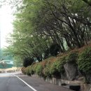 마산골프랜드 이미지