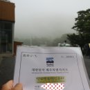 한라산오디