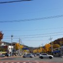 횡단보도 우회전 보행자 보호 의무법 이미지