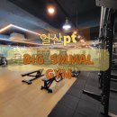 헬스장보다 몸잘만드는 일산 마두역 피티샵 빅스몰짐