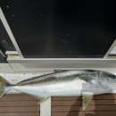 울진왕돌초 이미지