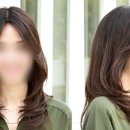 터미널가발