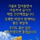 MIND-내일의 꿈 Daum카페