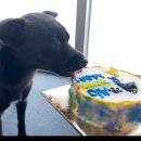 콩지네 부엌 이미지