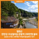 10/17(토)유네스코 한탄강주상절리,고석정가을꽃축제&amp;고석정,은하수교,삼부연폭포철원여행 이미지