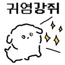 제천그레이스동물병원 네이버블로그